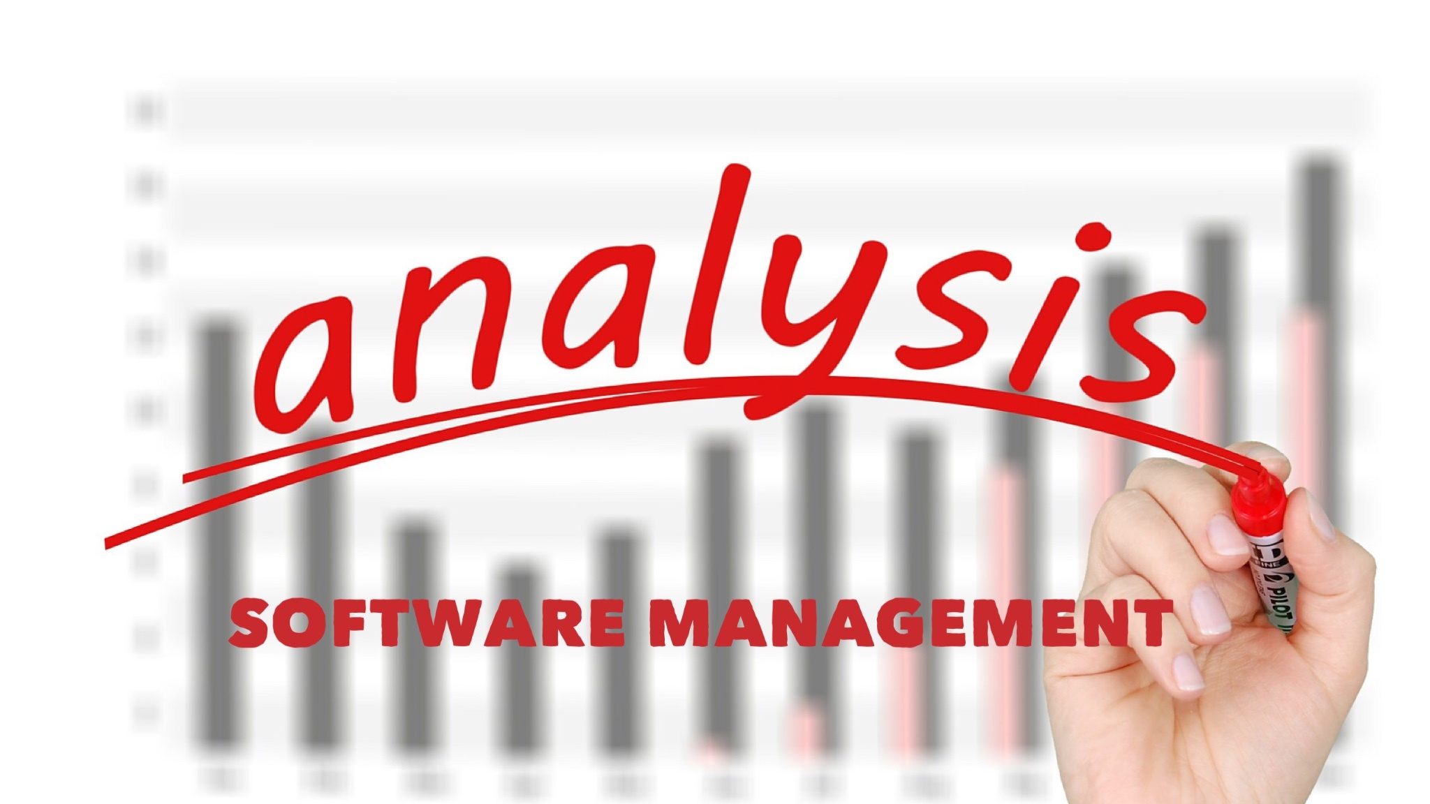 Software Mgt Analysis Typorama.jpg