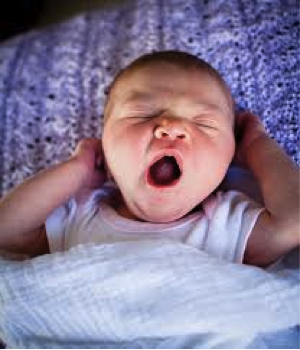 Yawn