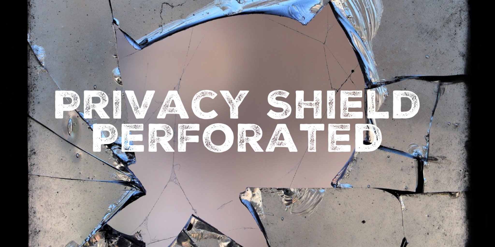 Privacy Shield typorama