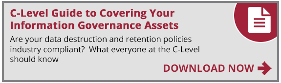 info-governance-c-level-guide