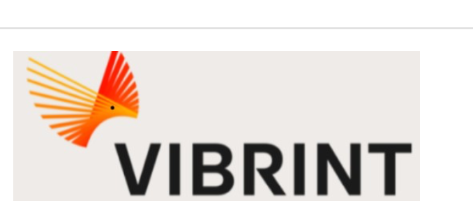 Vibrint Case Study